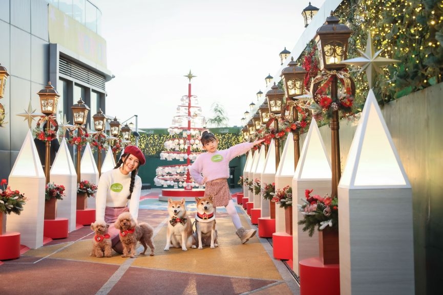 新界區寵物友善商場2025-Ocean PopWalk海天晉滙